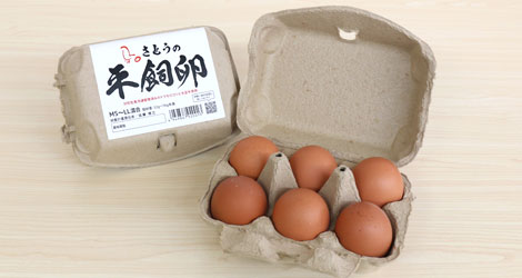 平飼い卵6個入り