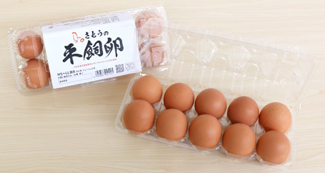 平飼い卵10個入り